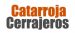 cerrajeros catarroja